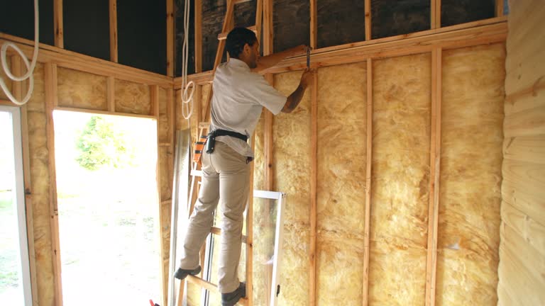 Best Commercial Insulation Services  in Woodridge, IL