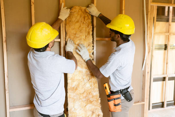 Best Eco-Friendly or Green Insulation Solutions  in Woodridge, IL